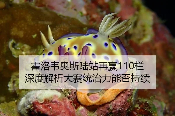霍洛韦奥斯陆站再赢110栏 深度解析大赛统治力能否持续